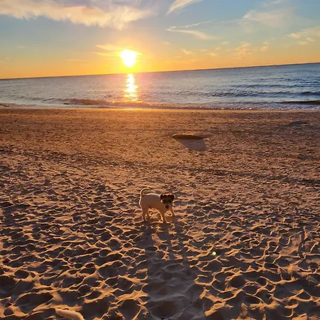 Modrzewiowa Enklawa * Debina (Ustka)