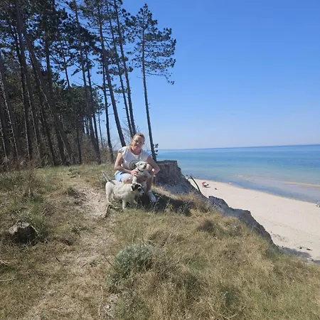 Modrzewiowa Enklawa * Debina (Ustka)