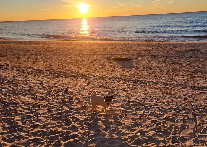 Modrzewiowa Enklawa * Debina (Ustka)